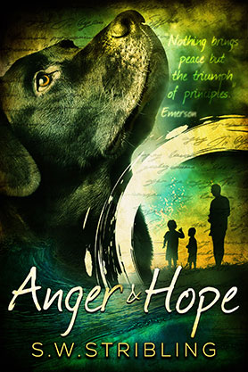 book cover design, ebook kindle amazon, sw stribling, anger and hope